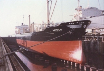animar